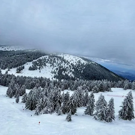 Milmari L55 Apartman Kopaonik